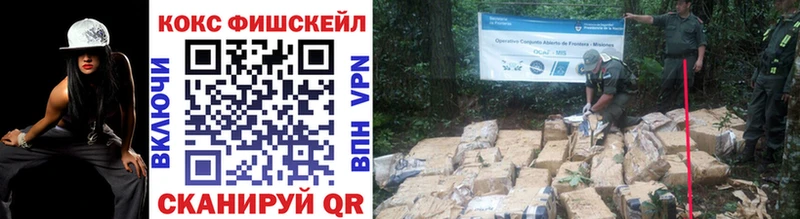 Купить где  Сосенский  КОКАИН VHQ 