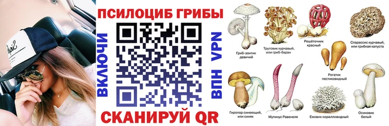 Псилоцибиновые грибы MAGIC MUSHROOMS Купить Сосенский